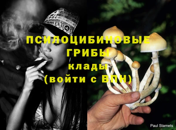 бутират Верхний Тагил