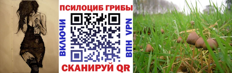 Галлюциногенные грибы прущие грибы OMG онион Новохопёрск магазин наркотиков