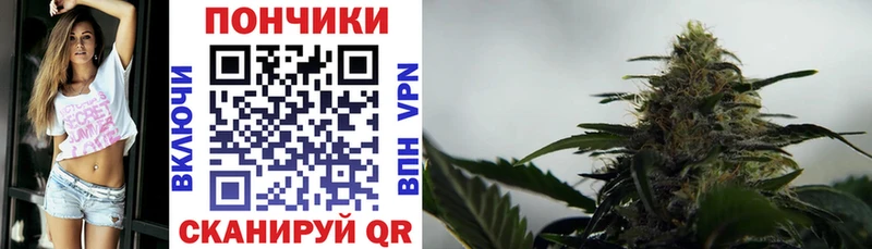 Шишки марихуана индика  KRAKEN ссылка  Новохопёрск 